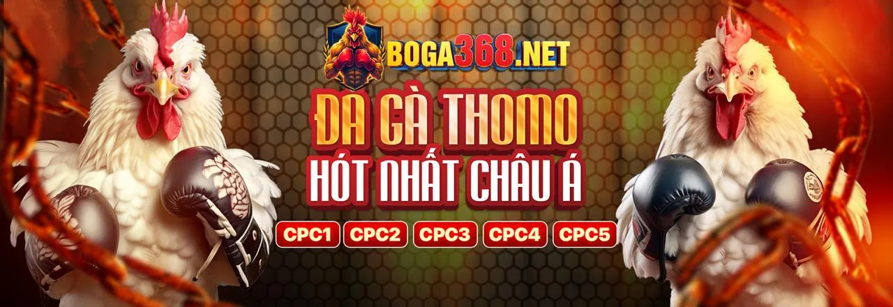 Tổng quan các môn thể thao đa dạng tại KU68 Login